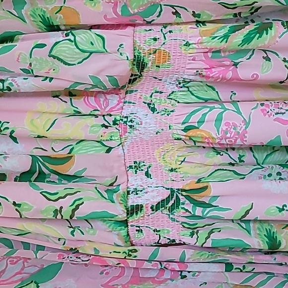 Lilly Pulitzer Ellielynn Long Sleeve Dress - Picture 6 of 12